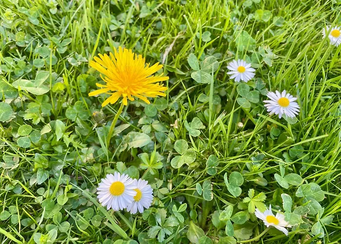 Côté Jardin Mutualiste